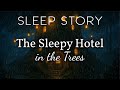 A Night At The Tree Hotel A Cozy Bedtime Story With Rain