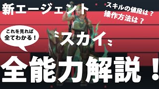 【リーク】新エージェント〝スカイ〟の能力と操作方法を解説！(スカイ、能力、アビリティ、操作方法、考察、立ち回り、etc)