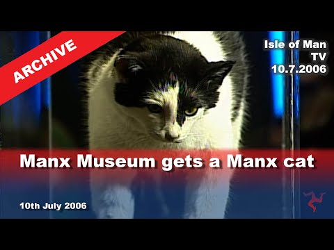 IoM TV archive: Manx Museum gets a Manx cat: 10.7.2006
