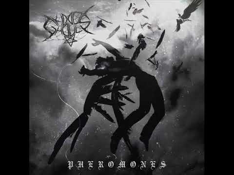 KIDDO GHOULS - Pheromones [Prod. Vessels]