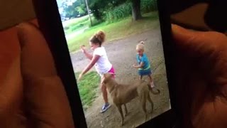 Dog shot by accident in Richland County