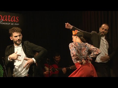 CASA PATAS, FLAMENCO EN VIVO #260 - RESUMEN ESPECTACULO GIRA USA NOVIEMBRE 2016