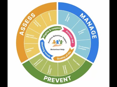 What is positive behaviour support?