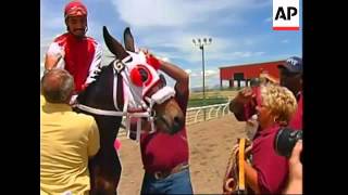 Cloned mules win first and second place in annual race