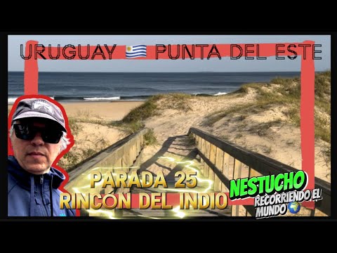 Uruguay 🇺🇾 Punta del Este. Hermosa Playa frente a Rincón del Indio #uruguay #uruguaynatural #playa