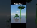 🌳The Tallest Tree in the World! 🤯😯