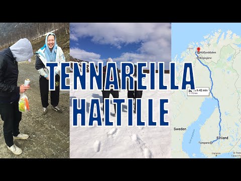 Tennareilla Haltille