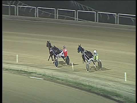 Trotto 17/11/2017 - prova di qualifica