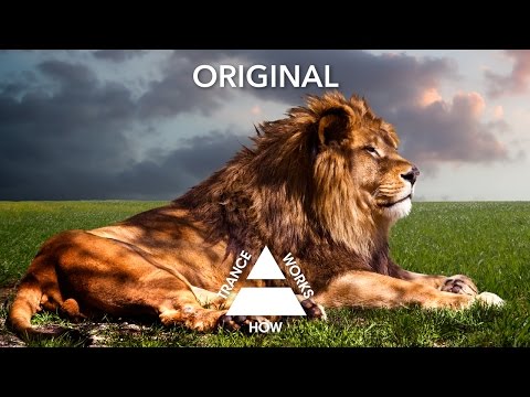 Feel & Sarah Shields - Hero (Original)