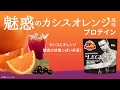 【11/17】ビーレジェンド 魅惑のカシスオレンジ風味をレビュー【ビーレジェンド プロテイン】
