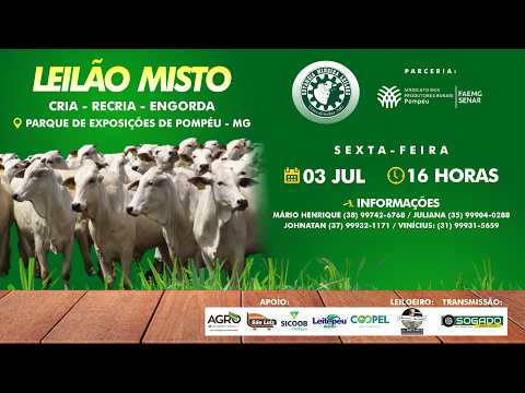 LEILÃO MISTO - ESTÂNCIA MINEIRA LEILÕES E SINDICATO DE POMPÉU/MG - 03/07/2026