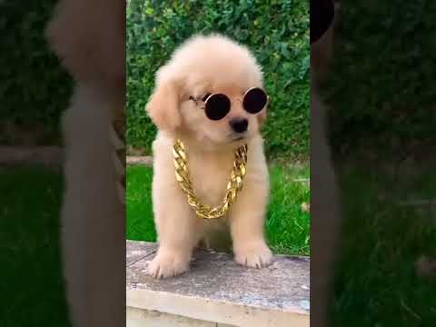 I am wearing 3  Kgs of gold, & taking photoshoot 😁😁😂😂