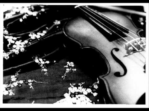 Sandeagle - Orchid (Chill Orchestral Full version) Part 1