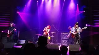 A Giant Dog - Roller Coaster