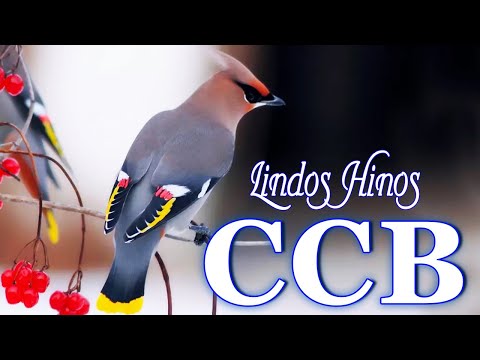 Hinos CCB 2023 - Hinos de silencio CCB para Dormir - Eu desejo, Senhor, só em Ti descansar