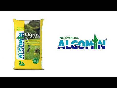 Tänk nytt! Förebygg ogräs i gräsmattan - miljövänligt och naturligt!