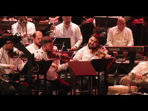 ROMA: THE FORCE OF NATURE (LIVE 2022)