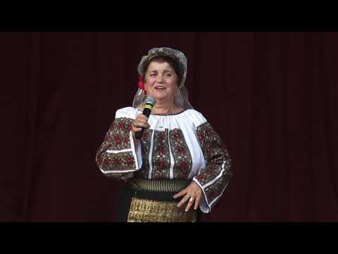 Tita TUDOSE  -  Frunzuliță, sălcioară