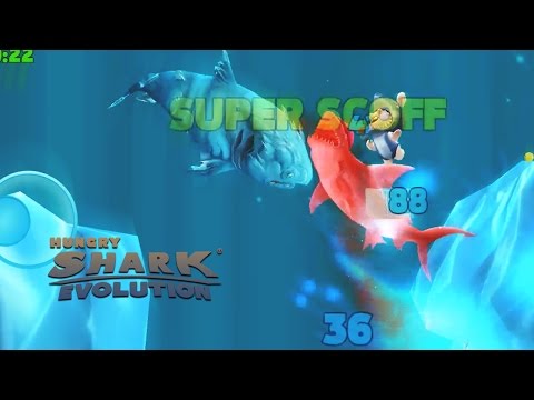 GAMEPLAY WITH TIGER SHARK || HUNGRY SHARK EVOLUTION