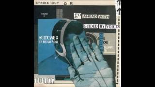 Guided By Voices-100 colors