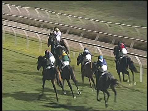 Galoppo 21/01/2017 - 5ª corsa