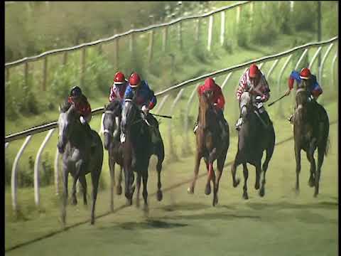 Galoppo 14/07/2018 - 6ª corsa