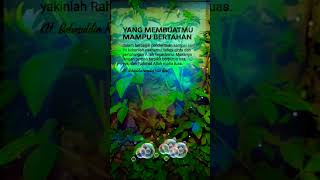 Download lagu tetap bersyukur atas nikmat Allah SWT #youtubeshorts #shorts mp3