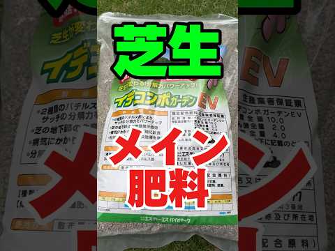 園芸 日本芝、箱根芝
