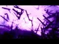 Kelley Stoltz - Keeping The Flame - To Dreamers - Sub Pop