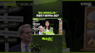 금리 내려갈끄니까~ 트럼프가 밀어주는 금값? / 똑소리E / 비디오머그 #shorts
