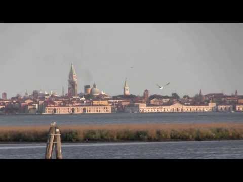 Grandi navi a Venezia... viste da Mestre