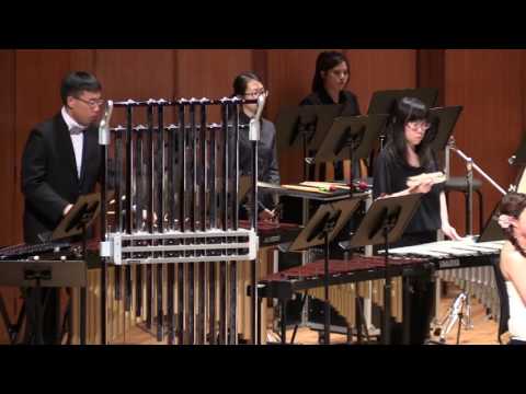 In the shadow of Napoleon  Appermont