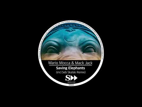 Mario Mocca & Mack Jack - Saving Elephants (Seb Skalski Remix)