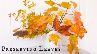 How to Preserve Fall Leaves with Glycerin