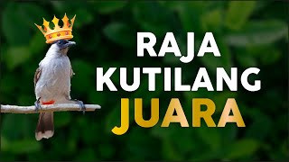 Download lagu The Unique Black Headed Bird's melodious voice mp3