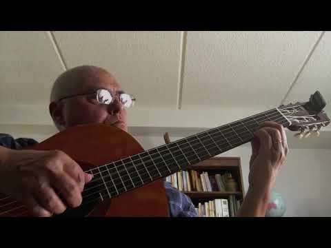 "Florestas" composed and performed by Roque Carbajo