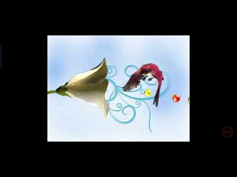 station id dewata tv 2007-2013