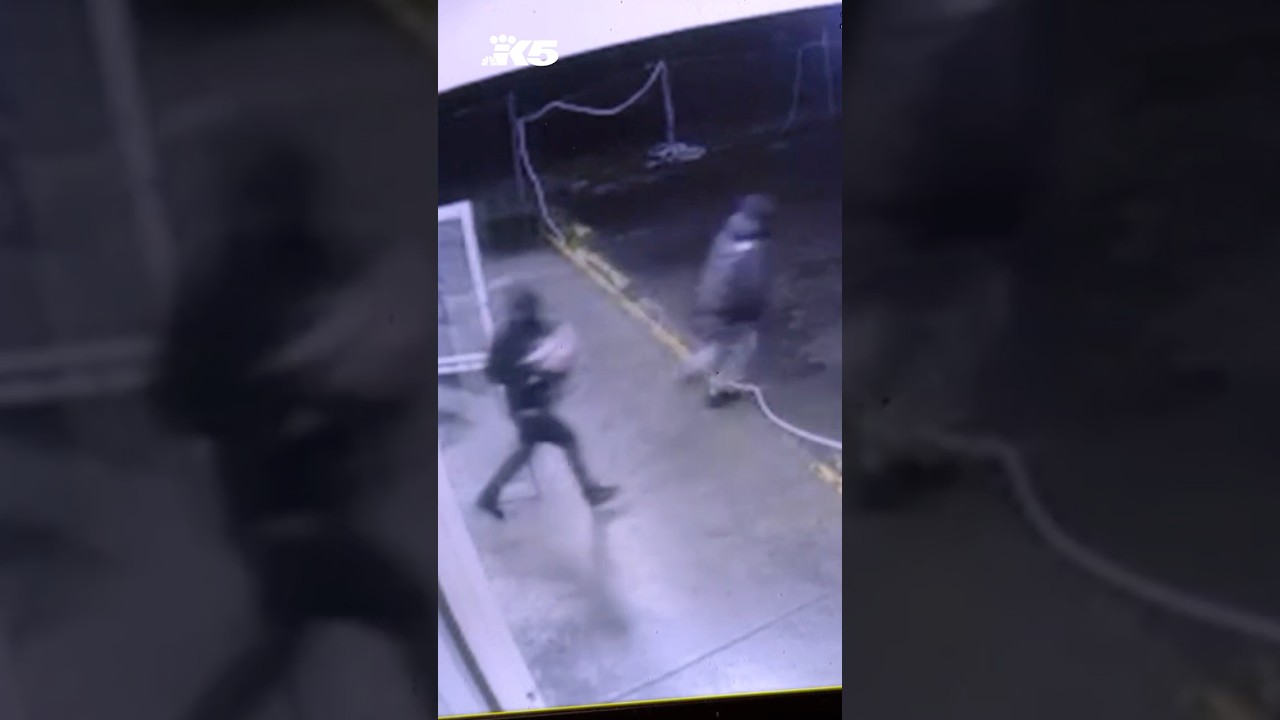 Teen suspect linked to at least 10 armed robberies in Seattle arrested, police say