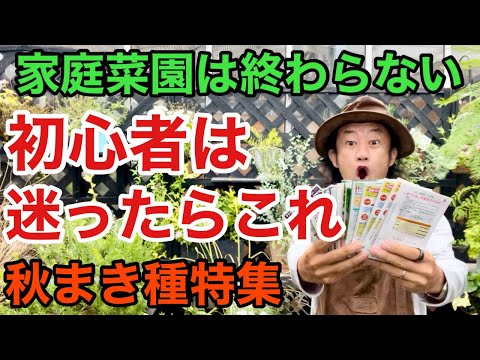 秋の菜園 – 7月から8月に種を蒔いたり植えたりするのに最適な野菜  庭園