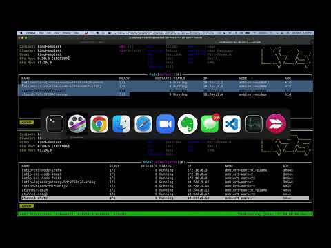 Istio Ambient Mesh Launch Demo