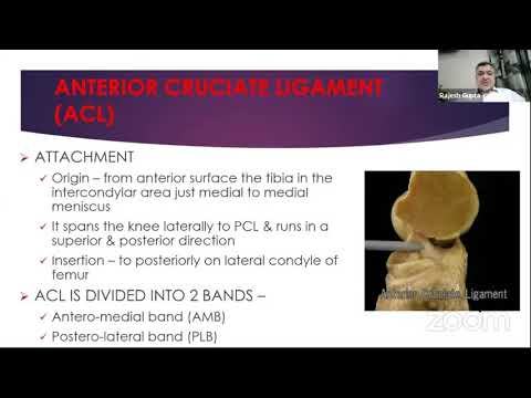 Biomechanics of Knee - Dr Rajesh Gupta