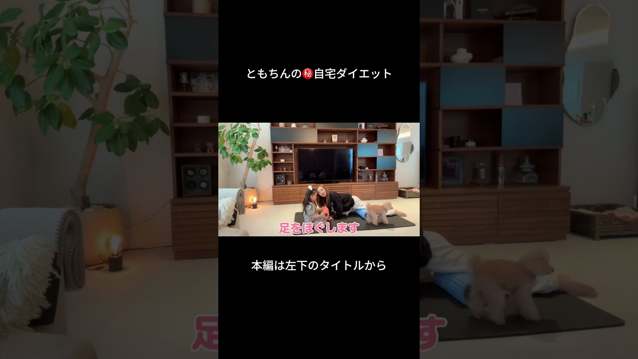 ともちんとベビちんの自宅ダイエット