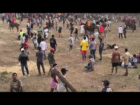 Fiestas en Corralejas en Tolu Sucre julio 18 de 2026
