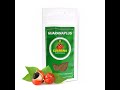 Doplňky stravy GuaranaPlus Guarana prášek 100 g