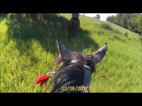 Teren Niegoszowice - Szklary