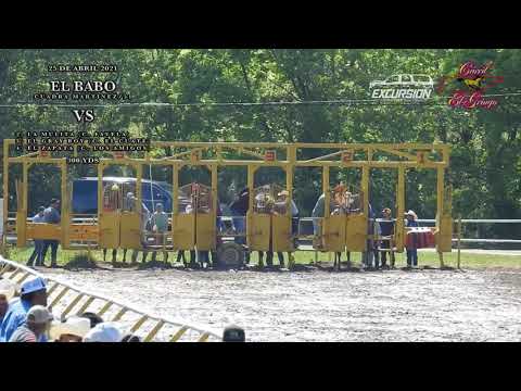 El Babo vs La Mulita vs El Gray Boy vs El Zapata 300 YDS | Carril El Gringo