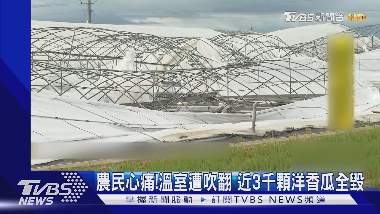 颱風丹娜絲釀「三千棵洋香瓜全毀」 農民苦嘆:損失上百萬