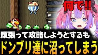 ドンブリ達に苦戦する綺々羅々ヴィヴィ [ホロライブ/切り抜き]