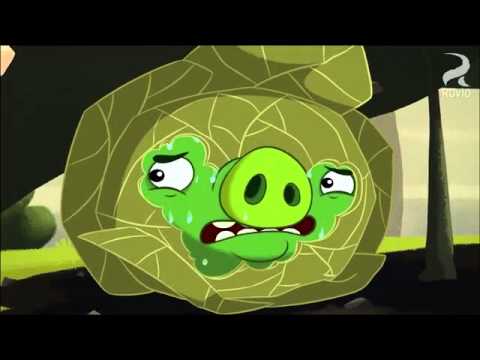 Angry birds toons  green pig soup cilp