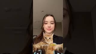 Download lagu Iwan Fals - Suka Kamu https://www.capcut.com/t/Zs8Yv2BL3/ mp3